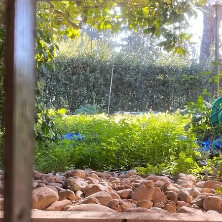 Monolocale A Mostacciano Appartement